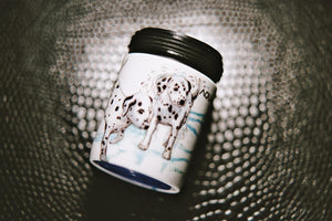 Dalmatinos-Design vermindert Wasserverbrauch und Kosten