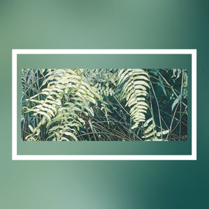 AquaClic-Durchflussmengenregler am Wasserhahn mit Amazonas-Design: Reduzieren Sie den Wasserverbrauch und sparen Sie Geld und Energie!