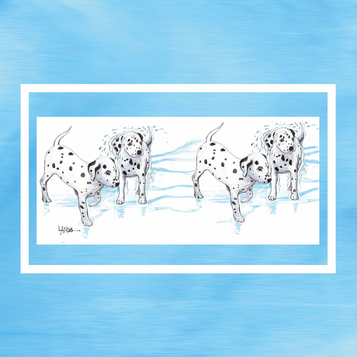 Dalmatinos-Design für ein nachhaltiges Wassermanagement