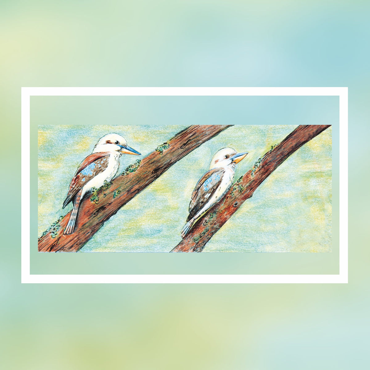 Kookaburra-Design AquaClic-Strahlregler: vermindert den Wasserverbrauch und die CO2-Emissionen