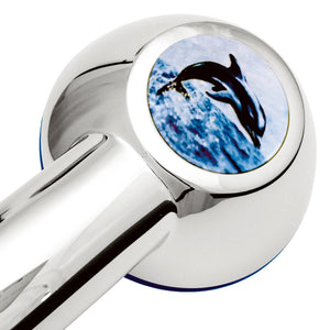 La pomme de douche dauphin a augmenté la pression de la conduite et le jet de douche : pomme de douche SwissClima, éco-chromée avec plaque décorative en laiton sur laquelle nage un dauphin bondissant dans les tons bleus.