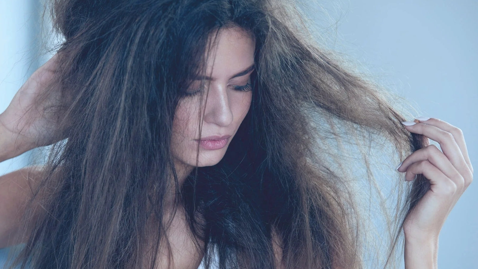 Eine junge Frau vor blauem Hintergrund mit braunen, trockenen, sprüden Haaren.