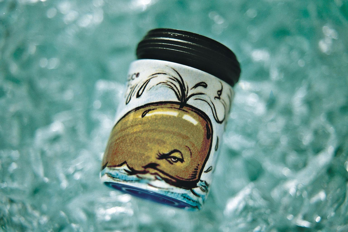 AquaClic® Mobi-Clic