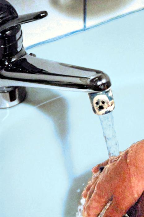 AquaClic Strahlregler mit Babyrobben-Motiv, helle Robbe mit grossen Augen auf blauem Hintergrund am Wasserhahn.